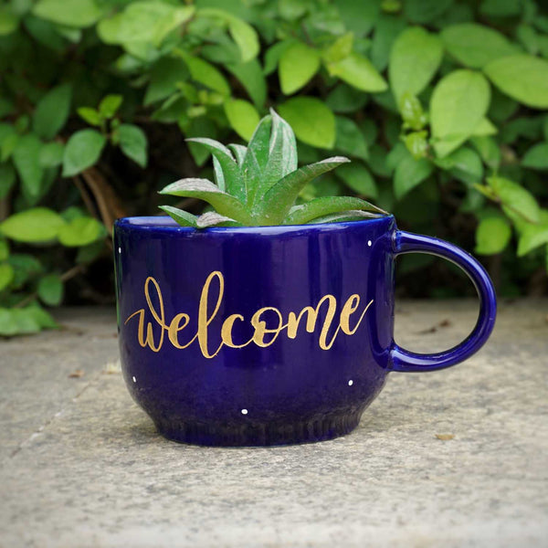Welcome Cup Planter | Entrance Wall Decor Planter | House Warming Gifts | Home Decor